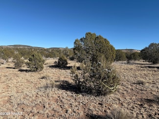 4041 N Double A Ranch Rd, Ash Fork, AZ 86320