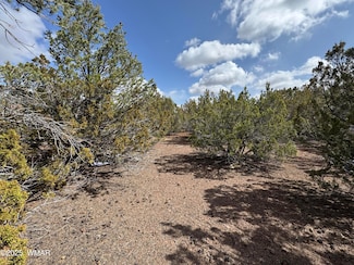 3187 Tbd, Vernon, AZ 85940