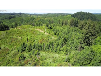 0 N Beaver Creek Rd, Seal Rock, OR 97376
