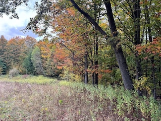 Lot 10 Wart Rd, Orwell, NY 13426