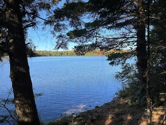 Lot 21 Nicolet Shores Rd, Phelps, WI 54554