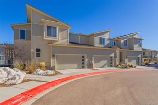 10045 Green Thicket Grove, Colorado Springs, CO 80924