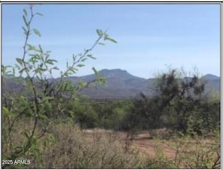 115E S Az-Hwy 188 --, Tonto Basin, AZ 85553