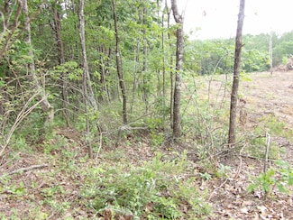 Lot 7 Hughes Rd, Evensville, TN 37332