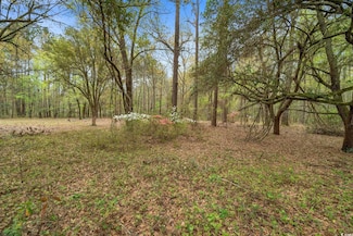 2905 Holladay Rd, Manning, SC 29102
