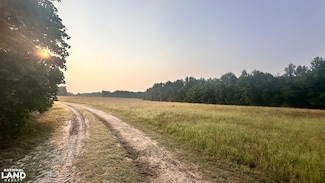 398 Antioch Church Rd, Jefferson, SC 29718