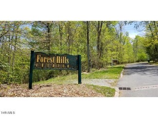 Tr 25 Mountain Laurel Ct, Unicoi, TN 37692