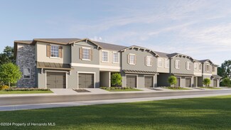 11053 Wishing Cloud Rd, Land O' Lakes, FL 34638