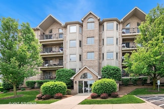 14130 Sheffield Dr Unit 202, Homer Glen, IL 60491