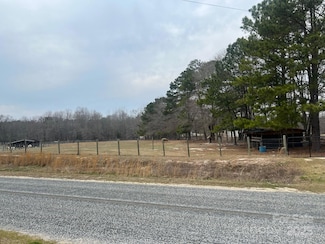 tbd Steen Rd, Mount Croghan, SC 29727