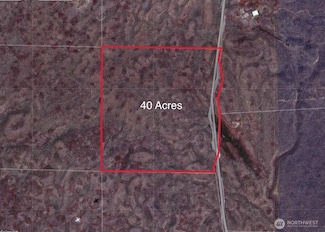 0 Lot 80 Eagle Springs Ranch Unit NWM2352823, Wilson Creek, WA 98860