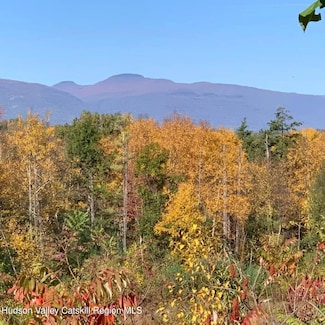 TBD Clearhorn Rd, Kingston, NY 12401