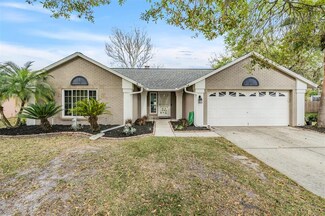 18303 Big Pond Way, Tampa, FL 33647