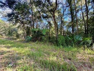719 S Arlene Ave, Inverness, FL 34453