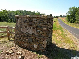 399 Bridlewood Dr, Gold Hill, NC 28071