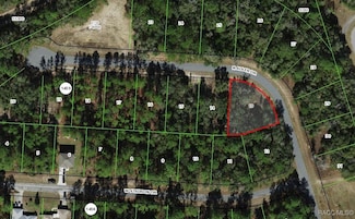 11208 N Adler Dr, Dunnellon, FL 34433