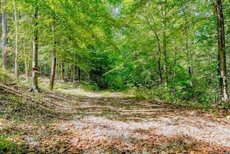 00 Bolestown Loop, Alpine, TN 38543