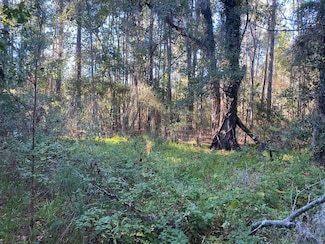 0000 Hamlin Rd, Quitman, GA 31643