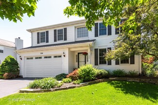 256 Fallbrook Ct, East Dundee, IL 60118