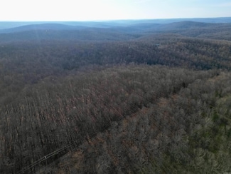 TBD Newman Trail, Williford, AR 72482