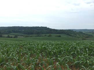 59 ac County Road Ff, Hillsboro, WI 54634
