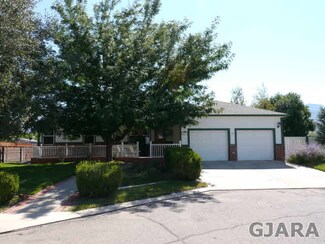 625 Moss Way, Palisade, CO 81526