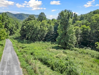 1.9 Acres Cecil Davis Rd, Greeneville, TN 37743