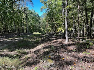 Lot 353 Diana Dr, Spring City, TN 37381