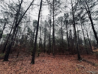 0 Lee Road 393 Unit 570532, Auburn, AL 36832