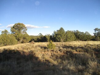 0 Lot 14 Blk 1 Woodland Hills, Moriarty, NM 87035
