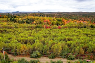 Lot 122 Dana Jordan Rd, Amherst, ME 04605