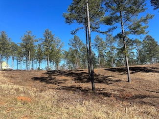 127 Hillside Ln, Ellijay, GA 30540
