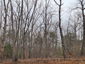 0 Atkinson Rd, Mineral, VA 23117