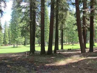 157 Slim Dr, Chester, CA 96020
