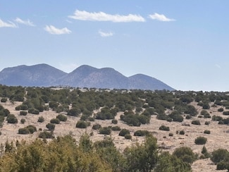 0 Lot 173 Pinon Springs Ranch, Magdalena, NM 87825