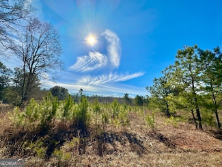 0 Douglas Creek Rd Unit 10500584, Flovilla, GA 30216