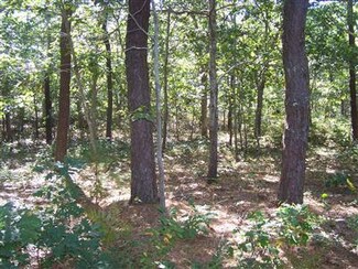 50 Featherbed Ln, Dennis, MA 02638