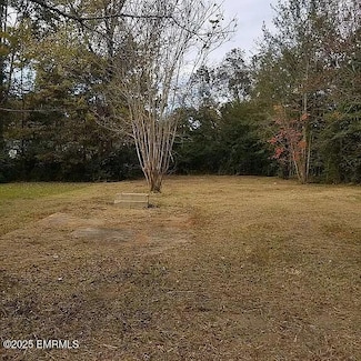 410 Crawford St, Kosciusko, MS 39090