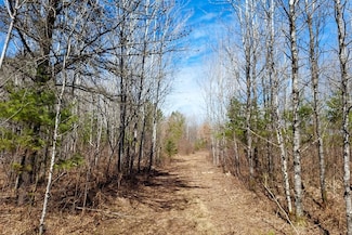 0 County Road Y, Tomahawk, WI 54487