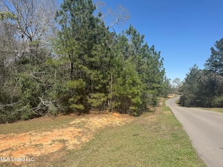 0 Cedarwood Dr Unit 4106888, Perkinston, MS 39573