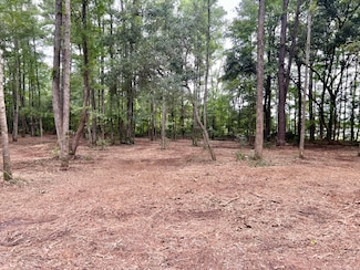 24 Major St, Yemassee, SC 29945