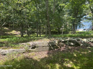 Lot 270 Saunders Ct, Lehman Township, PA 18324