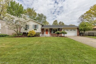 26800 Locust Dr, Olmsted Falls, OH 44138