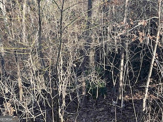 608 & 612 Green Valley Dr, Smyrna, GA 30082