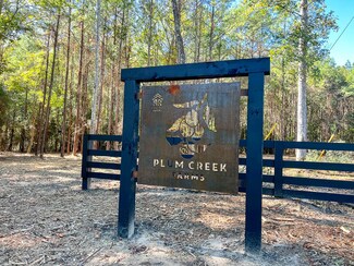 12 Farm To Market 350, Livingston, TX 77351