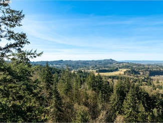 0 NE Cedar Creek Rd Unit 409112769, Woodland, WA 98674
