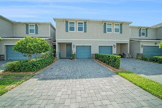 15019 Abby Birch Place, Tampa, FL 33613