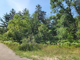 Lot 30 Norseman Dr, Grayling Township, MI 49738