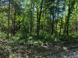 632 Basswood Dr, Leslie, MO 63056