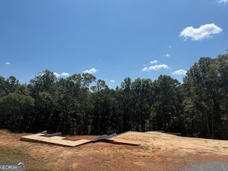 415 Forest Pointe Dr, Forsyth, GA 31029